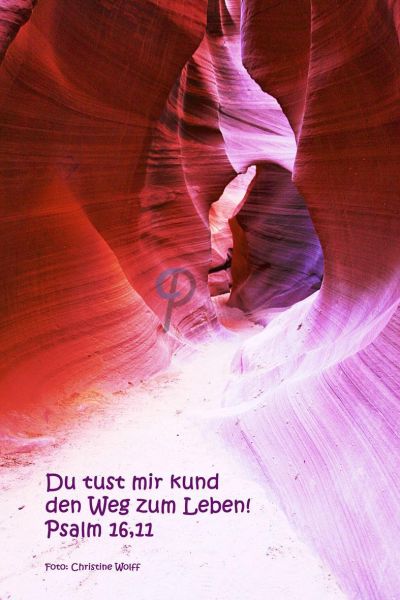 288 - Psalm 16