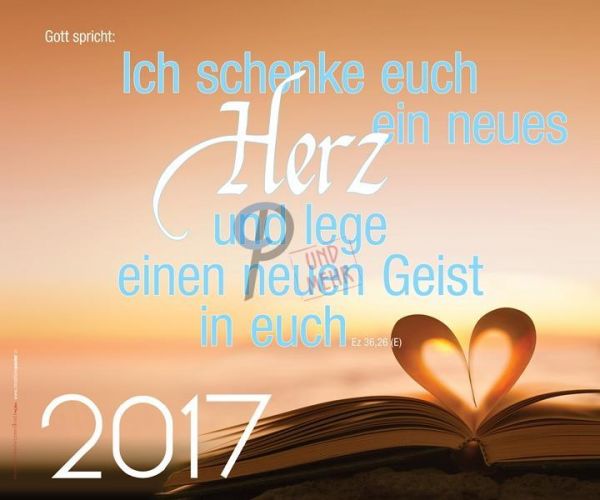311-Jahreslosung 2017 - Sonnenaufgang