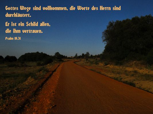 437 - Psalm 18,31