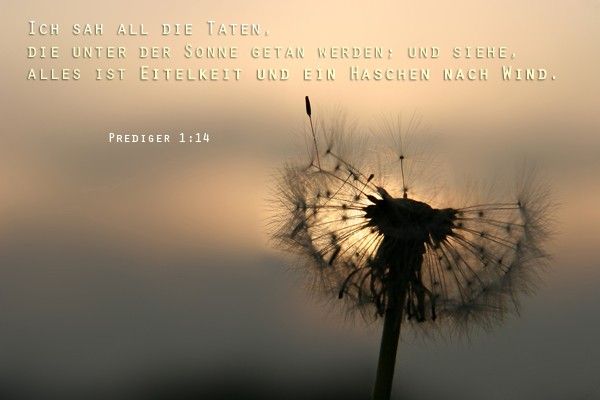 12-Prediger 1:14
