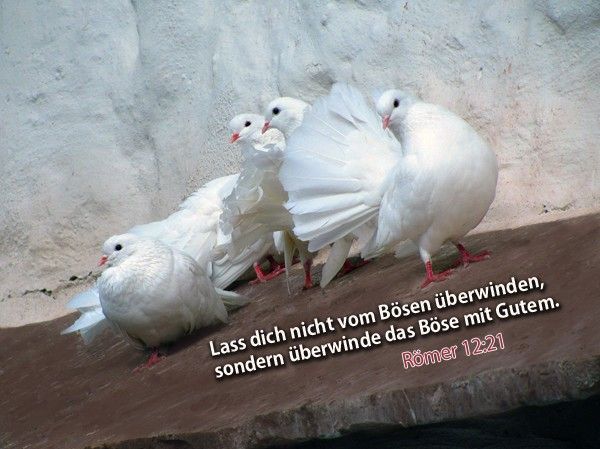 51-Jahreslosung 2011