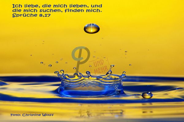 294 - Sprüche 8