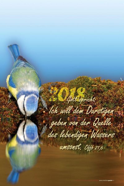 511.1 - Jahreslosung 2018 Vogel hoch (mit Jahreszahl)