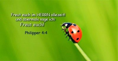 20-Philipper 4:4