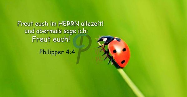 20-Philipper 4:4
