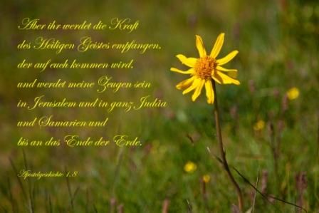 781 Aber ihr werdet die Kraft des Heiligen Geistes empfangen... Apostelgeschichte 1,8
