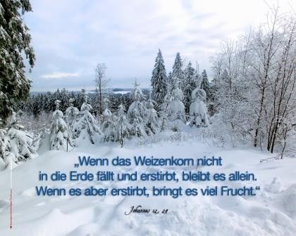 266-Johannes_12