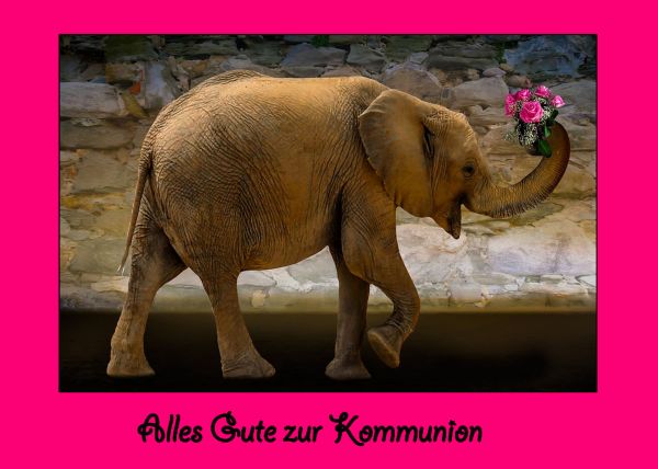36-Zur Kommunion Set