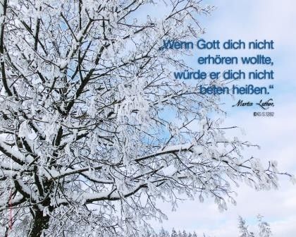 264-Martin_Luther_Zitat