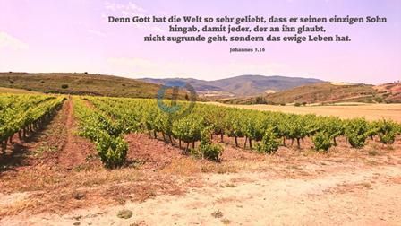 416 - Johannes 3,16