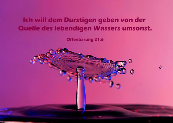 389 - Jahreslosung 2018