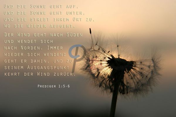 8-Prediger 1:5-6