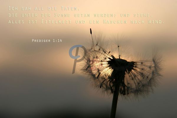 12-Prediger 1:14