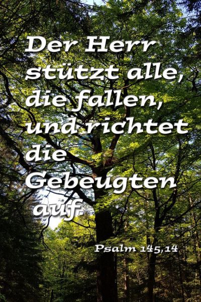 673 - Der Herr stützt...