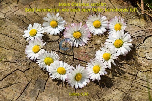763 - Jahreslosung 2021 - Herz aus Blumen
