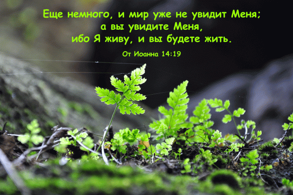8 R - От Иоанна 14:19