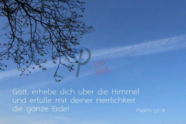 689 - Psalm 57,6