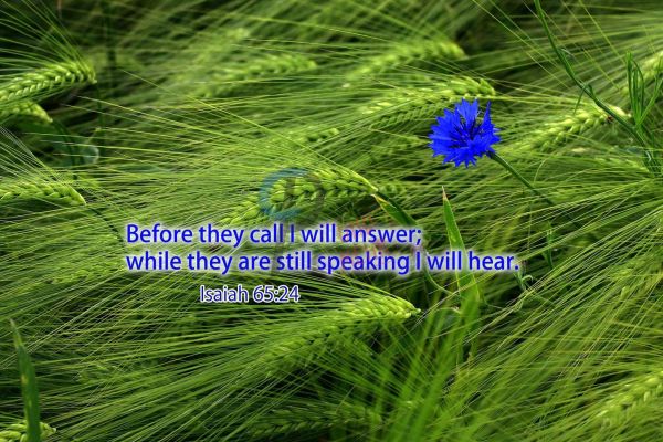 202-Isaiah 65:24