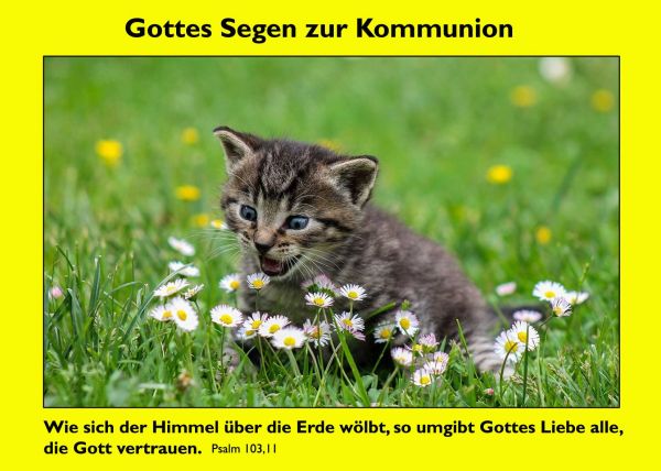 39-Zur Kommunion Set