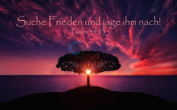 534 Jahreslosung 2019 Baum