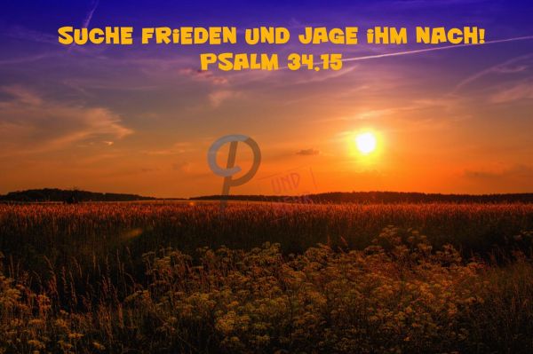 567 Jahreslosung 2019 Sonnenuntergang Feld