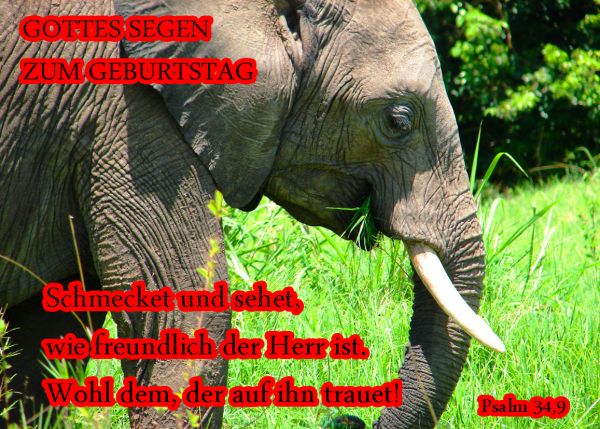 362-Geburtstagskarte Set (Psalm 34)