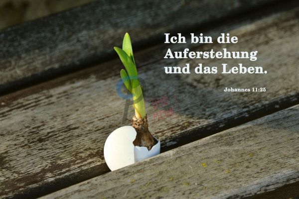 666 - Auferstehung