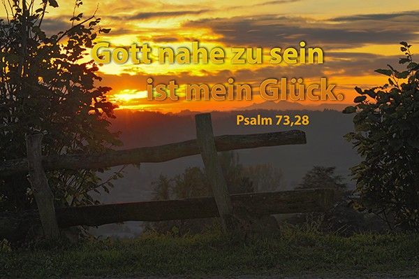 204-Jahreslosung 2014