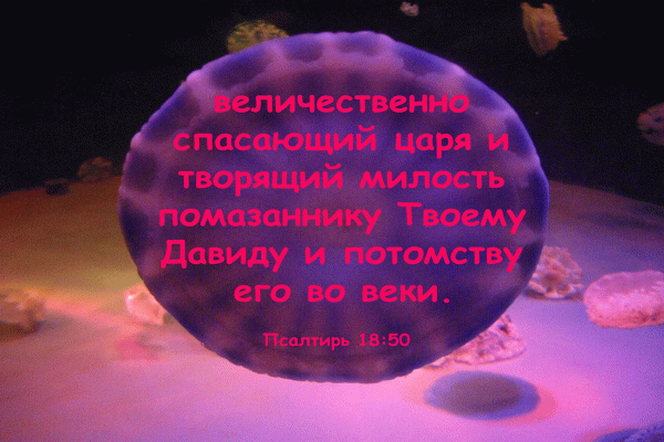 6 R - Псалтирь 18:50