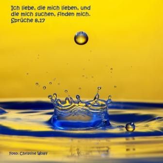 294 - Sprüche 8